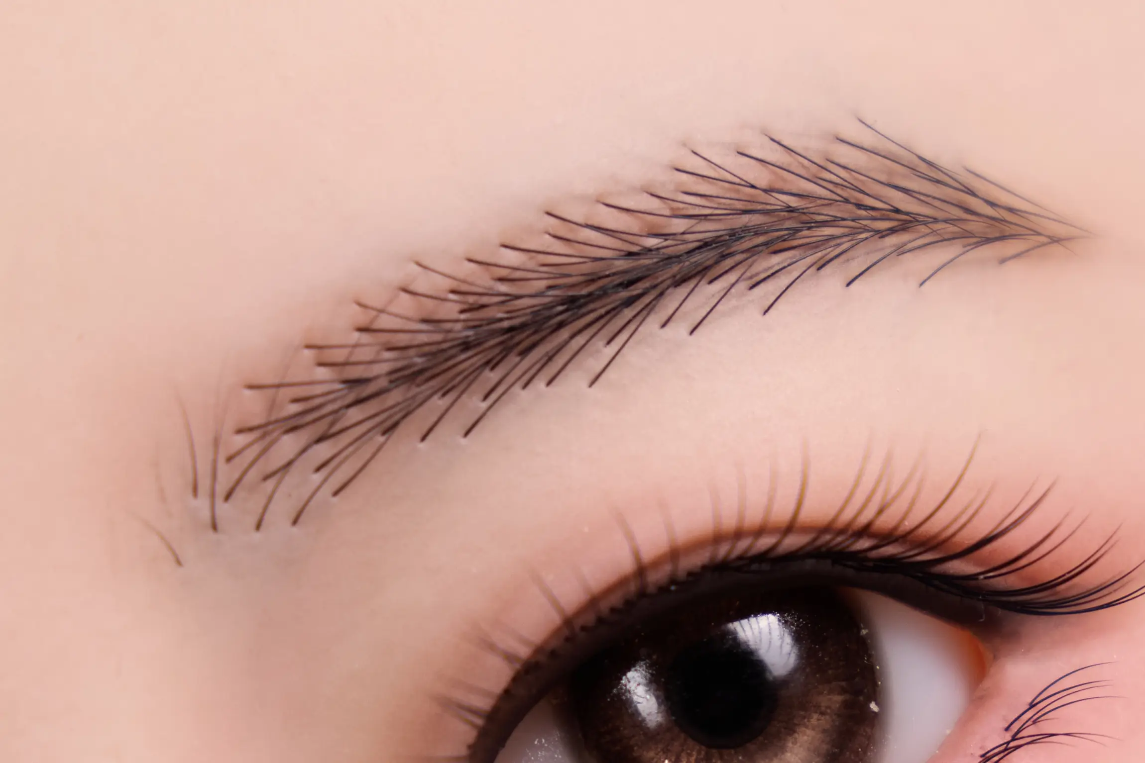 Irontech oriental sakura sould makeup