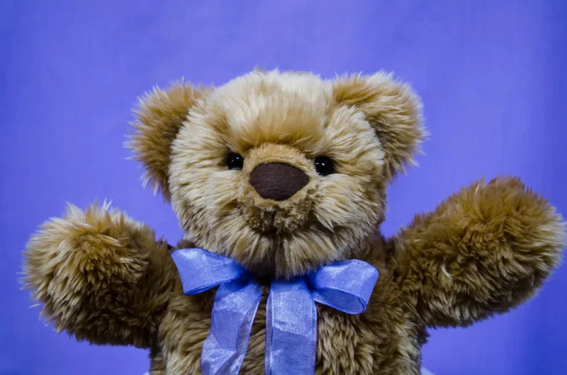 doll therapy with teddy bear